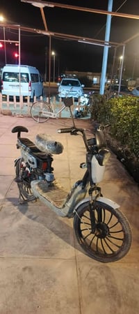 باسكل شحن • بابل • مشروع الامسيب