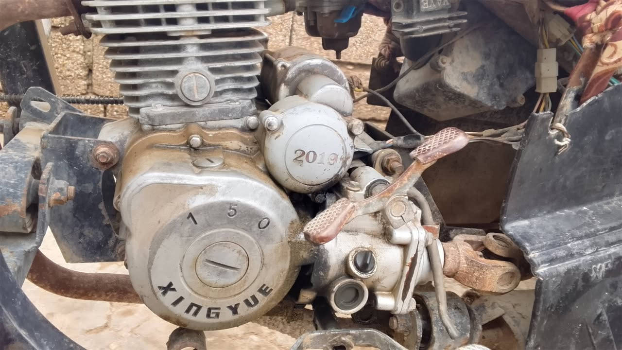 ستوته للبيع 2019اوراق موجوده جاهزه نقص كير بوكس فقط 
شاصي بدي مكينه كله نضيف مكاني بعقوبة الساده حي العبور مكلف بنشر مكلف بنشر
السعر 900بيهه مجال///////‏‪***********‬‏
