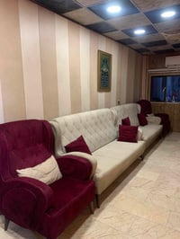 تخم قنفات للبيع بسعر جيد 07736881867 للأستفسار