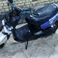 اكزز • جبلي • تطفي