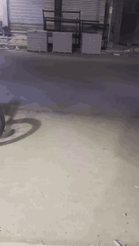 للبيع سيجي ما مفتوحه دراجه تخبل اوراق 2014سعر 600وبيه مجال رقمي 077661...