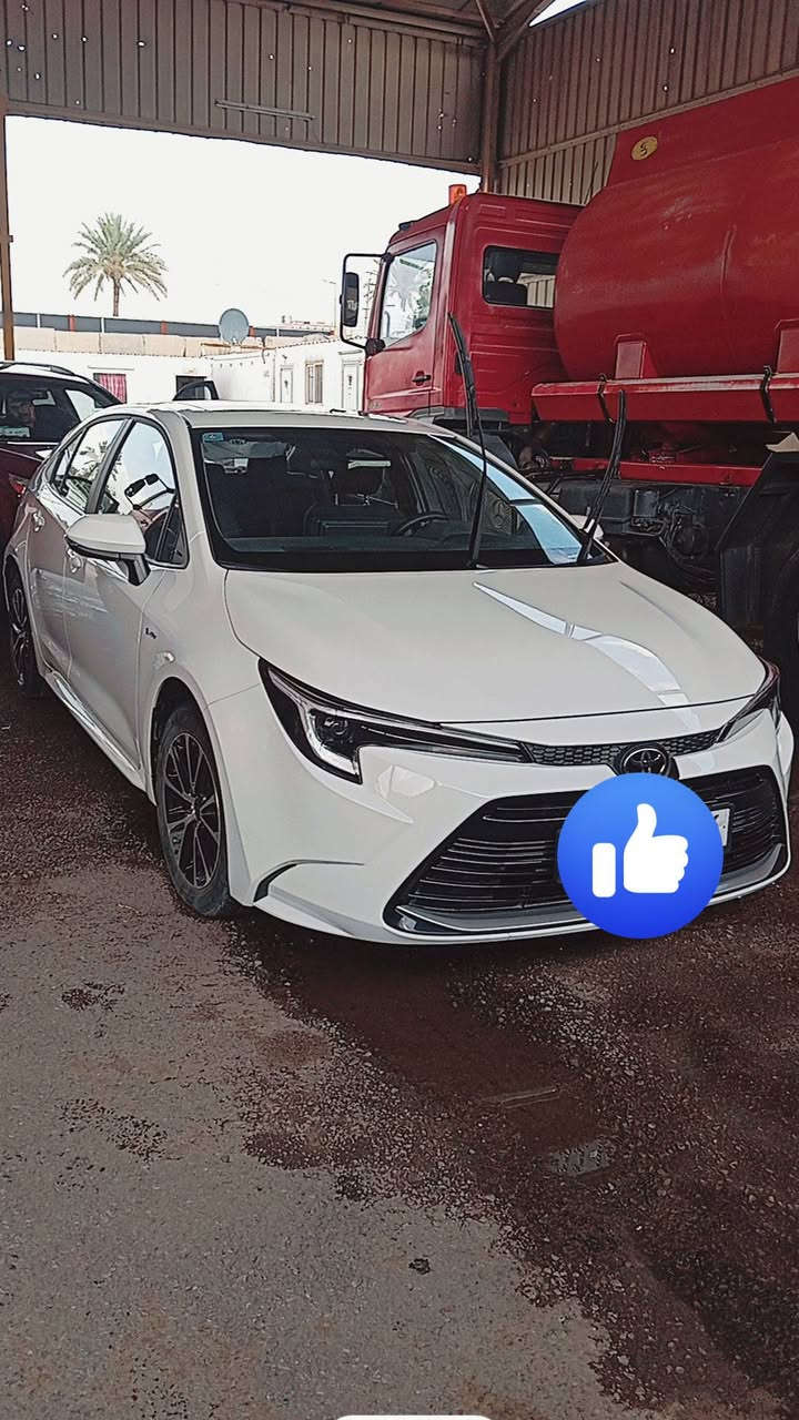 مديل 25
شكل امريكي
مكفوله 
ماشيه خمستلف 
صارلي شهر ونص من معرض منزله
باقي تفاصيل اتصال
***********
عنوان بغداد
