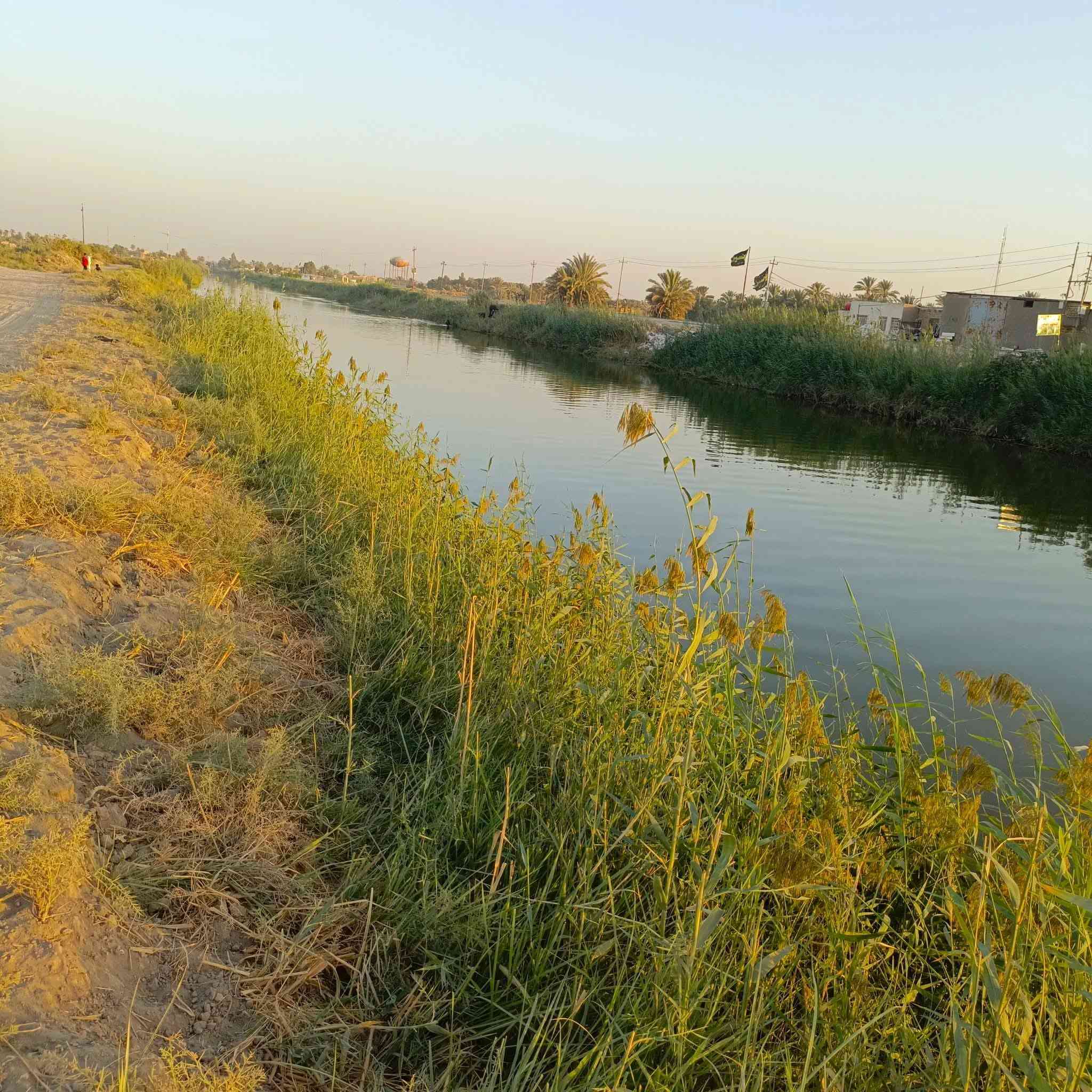 للبيع 5 دونم ع الشط مباشر مال الدغاره تبعد كيلو ونص ع سوك الدغاره واجهه61م
***********
