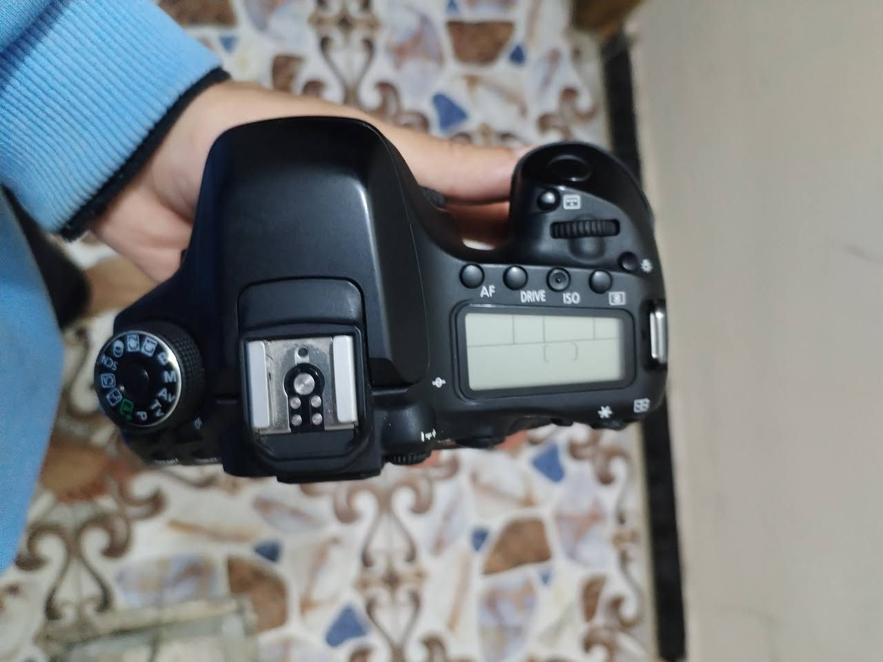 مراوس بدي كانون 6d مارك 2


**إذا كنت صاحب هذا الإعلان وتريد حذفه لأي سبب، رجاءا أرسل رسالة إلى الدعم الفني**