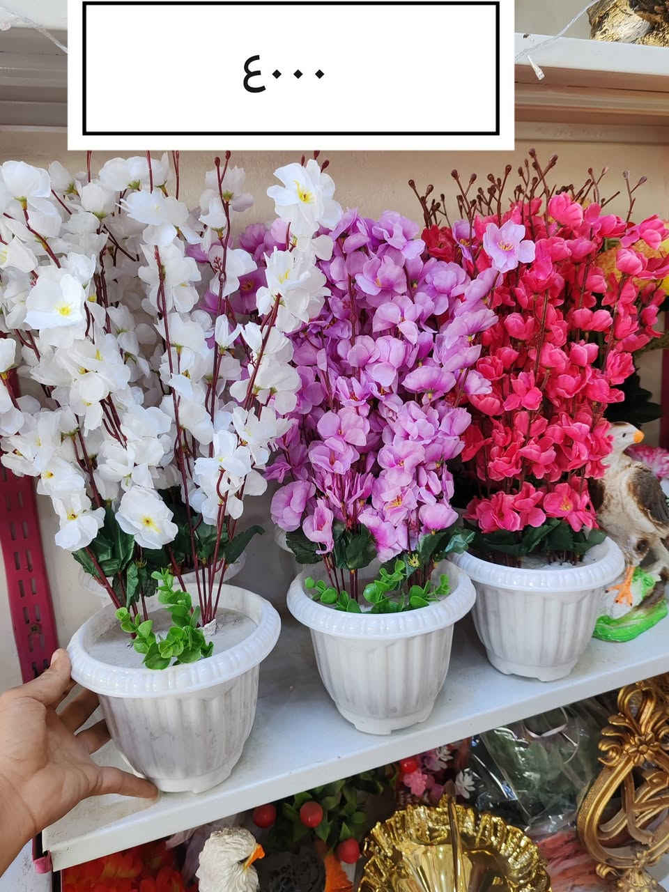 اللهم صلي على محمد وعلة ال محمد
تخفيض على اسعار الورد 
العنوان الرميثة مقابل تقاطع سوك العصري مجاور ال عارف اهل المخضر قرب شارع السبيس قرب شارع المحافظة القديم
***********
