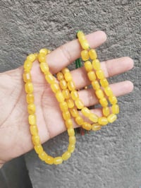 كهرب بولوني • حر طبيعي • ٦٥ حبه