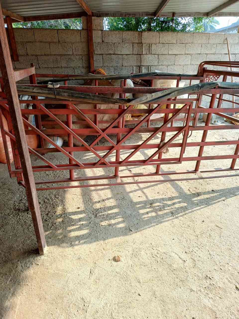 السلام عليكم محجر للبيع *********** المكان العزيزيه السعر 350 جديد مشدود شي قليل
