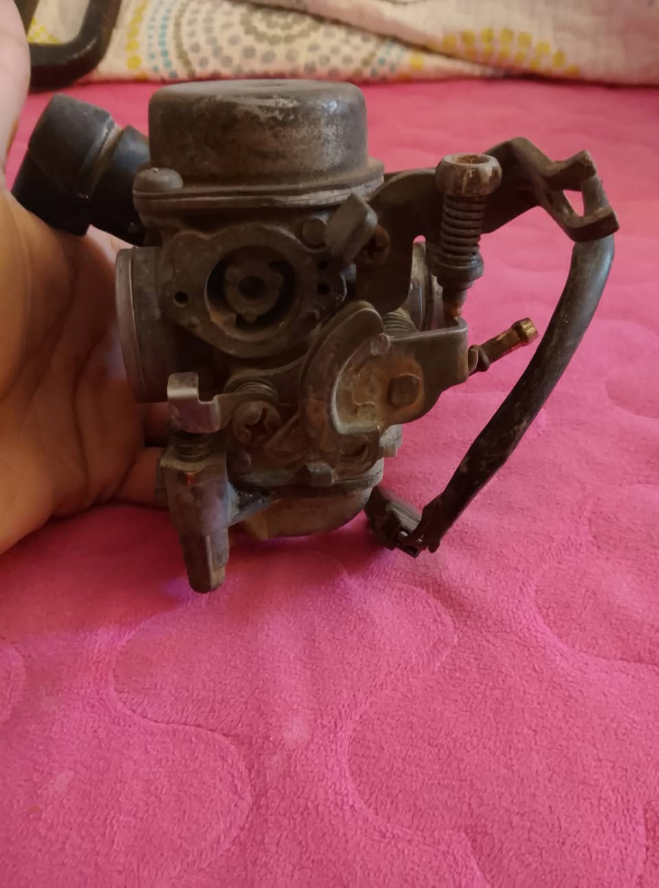 غراض ماكس كل اصلي
بوشه 49 يوماها عدد ثنين
كابريتر ماكس اصلي عدد 3 تجاري وحد اصلي
عقل اصلي عدد 2وعقل تجاري واحد
بوري سوبر عدد ثنين 
سوبر عدد 3
يده هندر موسكو اصلي
يد هندر رياضي
ملف سكنس. اصلي
زرازير جديد مامستخدم 
مريا ماكس اصلي ستيل
بدات ماكس ازرك رياضي تفصيخ
يدات تي ماكس عكرب متقلب اصلي ختم
سوبي ماكس بوليسي رياضي
عندي كاسحه بوليسي رياضي شركه M
سوبي ستيل بوليسي اصلي
شوته جوكر جديد
حزين نوزل هو وحساس مالته 
صالنصه سكنس صجميه اصلي ام حساس
شراي خاص مكاني حله


**إذا كنت صاحب هذا الإعلان وتريد حذفه لأي سبب، رجاءا أرسل رسالة إلى الدعم الفني**