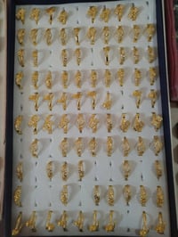 محابس • برازيلي