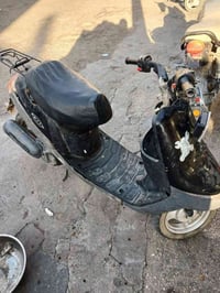 بطه • شغاله • كربلاء