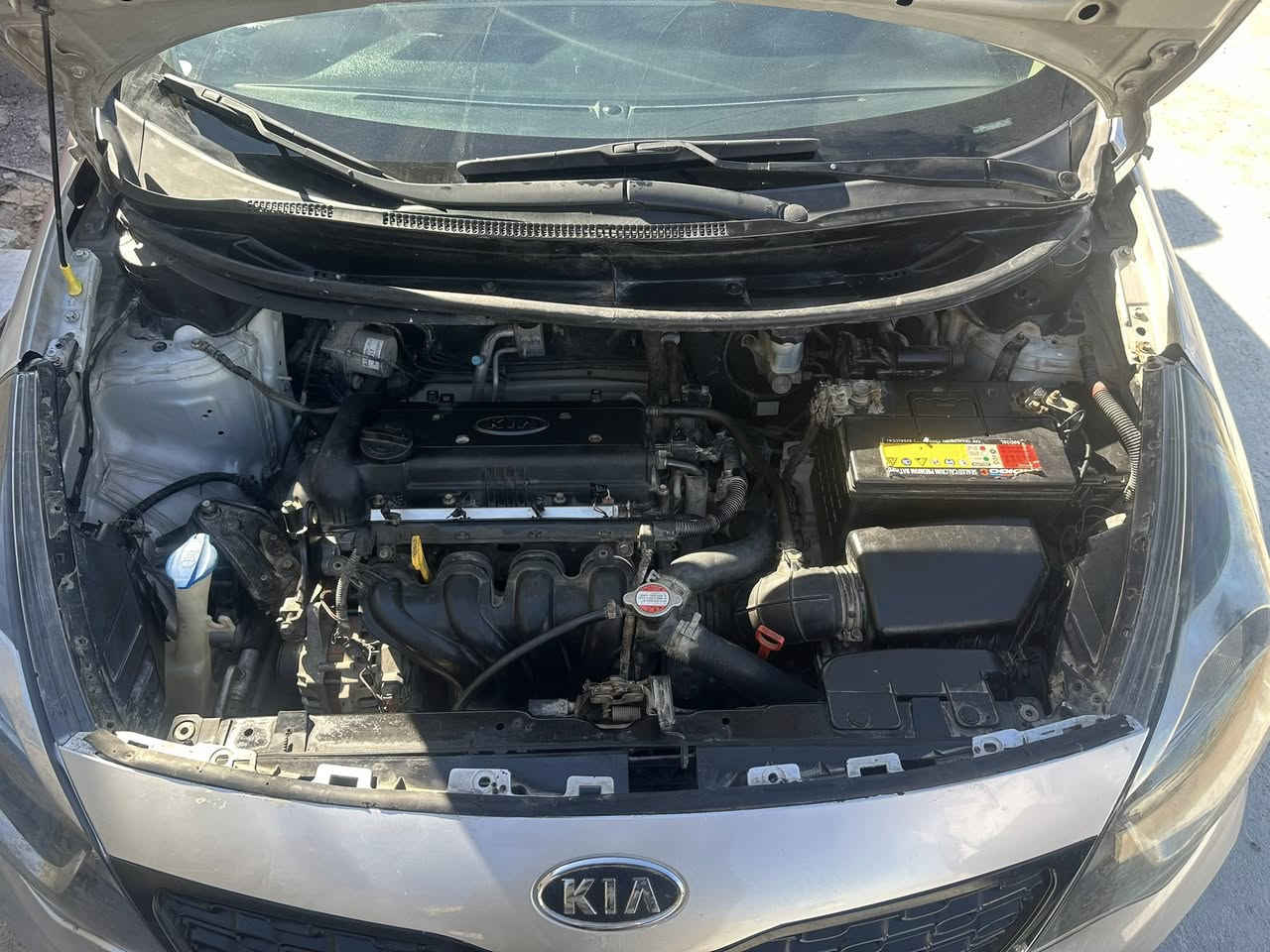 سلام عليكم كيا ريو 2016 خليجيه  رقم ذي قار  مكينه1600 دووش
سياره بيه رشات صبغ بدون ضربه قويه بيه بل بجم خفيفه سياره حلو وقتصاديه شاشه كامره خلفيه 
تخم تاير تحكم كهربائيات كله شغاله مكان سياره بصره  حي بغداد 78$
ماتحصلني ع سيم كارت موجود واتساب ***********
