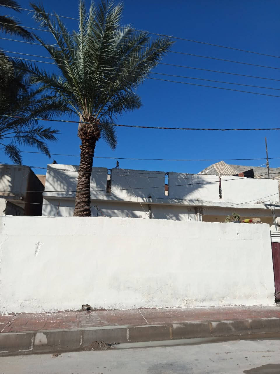 السلام عليكم بيت للبيع مساحه 200 متر في كافه الخدمات كهربائي ماء مجاري تبليط وارصفه في ديالى ناحية كنعان قرب مدرسه الزبيدات وقرب المحكمه بي استقبال+4غرف نوم فوك وتحت +2حمام فوك تحت +هول +مطبخ والاستفسار على الرقم ***********
