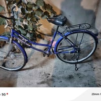 باسكيل • حجم ٢٤