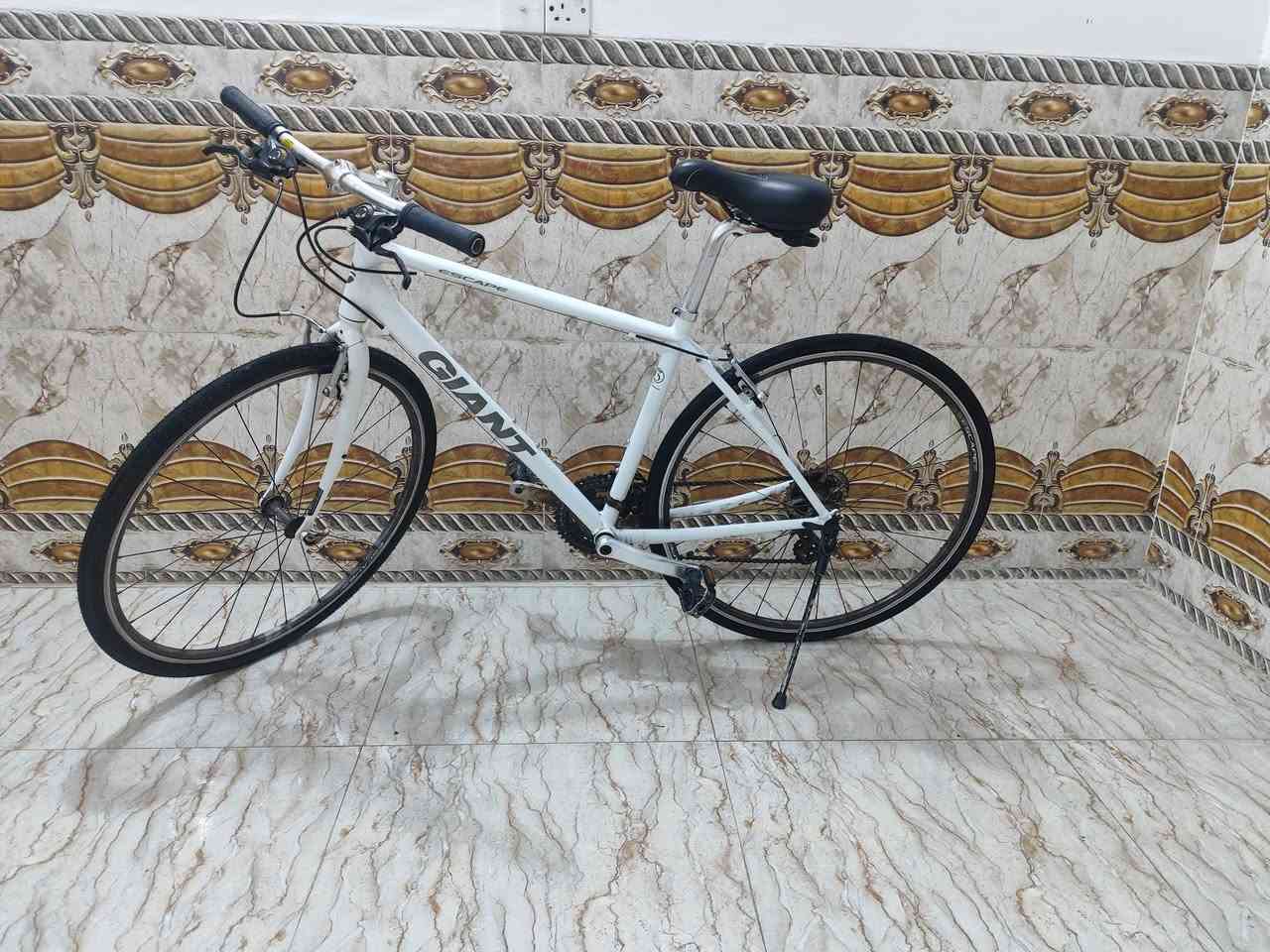 السلام عليكم bike gaint للبيع

شركه جاينت

حجم 28

كشن طبي

السعر 150 وبي مجال مكاني بغداد جسر ديالى الجديد


**إذا كنت صاحب هذا الإعلان وتريد حذفه لأي سبب، رجاءا أرسل رسالة إلى الدعم الفني**