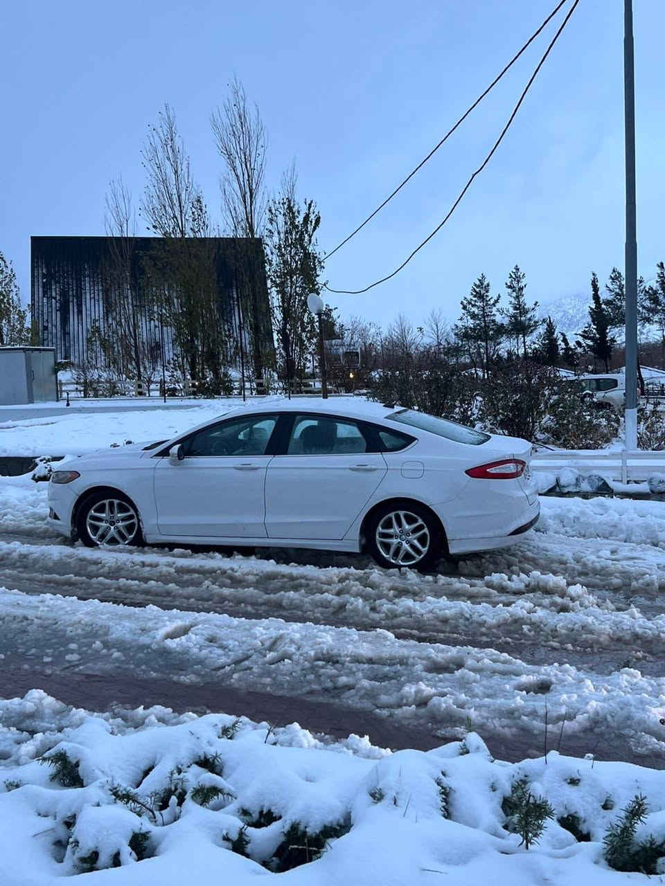 فۆرد فوزن ٢٠١٣ کلین بی بۆیاخ مەکینە ٢.٥ مەرخوب سەنەوی تا کۆتای ٢٠٣٠ تازەیە بەناوی خۆمەوەیە  ***********
***********
مواسەفات s کوشن کارەبا تەبرید مەرکەزی بریک بەسمە ئاوینە ئیشارەت و هیتەر و گلۆپی زیر ئاوینەکان ناوی زۆر تازە وجوان ماوەتەوە  بەشەرت گیرو مەکینە و تەقەو رەقە سەیارەکا هی دەستی خۆمە کامل مەسرەف کراوە نوقسانی نیە کامل لایتەکانی پێشەووی لیدی سپیە دەعامی بلاجیک تۆرە سبیە دوو کۆنترۆلی بلادی لەگەلە کامل جامتاو کەتەلۆکی شەریکەی ماوە  هەر جوار تایەکەی تازە بۆی بەسراوە لۆکە سەیارەکە مواسەفات کەنەدیە سەیارەکە زۆر تازەو جوانە بۆ زانیاری زیاتر مەسج بکە یان تەلەفون بکە لە خزمەتانام گۆرینەووش ئەکەم بەسەیرەیەک بەدلم بیت سیعریشی قفل قفلی ١١٠ گەلایە السليمانية, العراق
