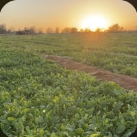 18 دونم • الموقع السريع الدولي • سند باسم المشتري