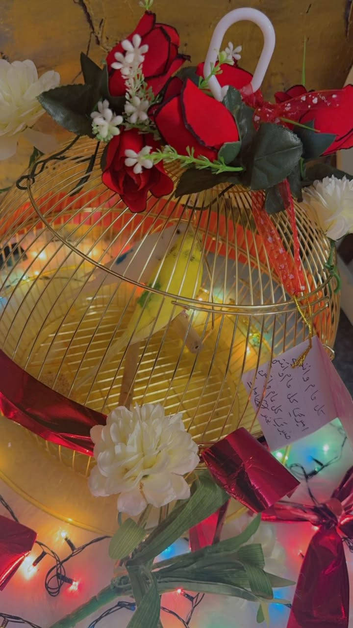 غراض للبيع


**إذا كنت صاحب هذا الإعلان وتريد حذفه لأي سبب، رجاءا أرسل رسالة إلى الدعم الفني**