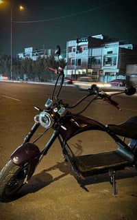 هارلي شحن • رينج ١٢٠كم • بطارية ٦٠V-٥٠A