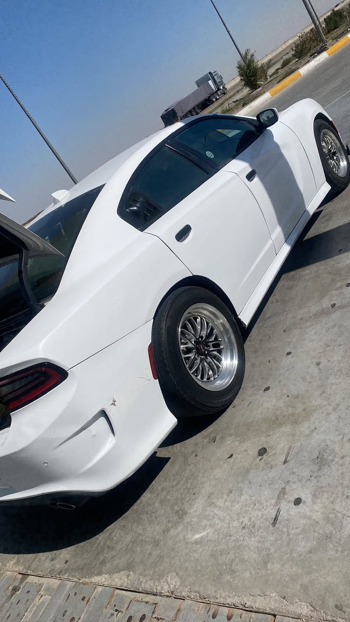 السلام عليكم تخم ويل.كب 2سايز حجم 18 اسمة ويلد موديل 26 استخدام سبوعين جديد كلش. التايرات  نضافة 70 ‎%‎ مامتواجد ع فيس ***********علي
