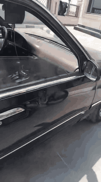 ابرنس للبيع اتصال على هاذه الرقم *********** السعر35 وبيها مجال العنوان الشعلة
