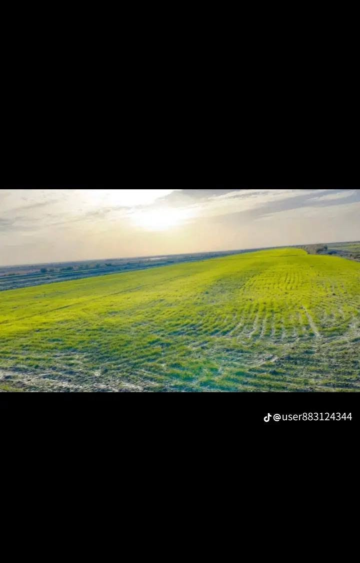 ارض زراعيه للبيع المساحه ٤٠دونم في محافضت واسط في منطقت الدخنه على نهر الكلال مباشر يوجد بأرض كرفان للسكن ومحرك ماء متوفر شتاء صيف للاستفسار اكثر اتصل ***********
