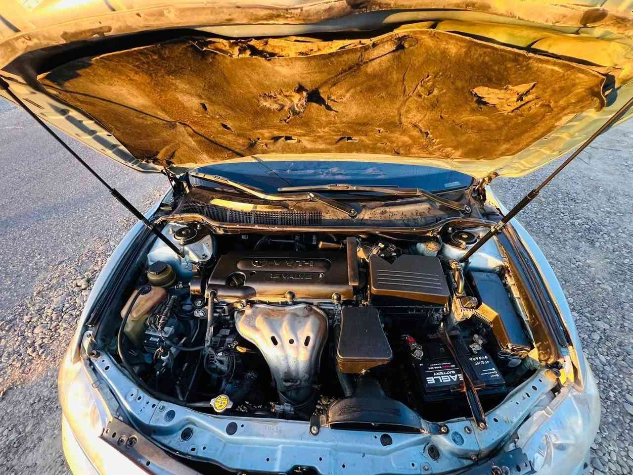 كامري 2009 امريكي ضرر تقريبا صفحه دواخل قليله شرط رقم نينوى دولي سياره جاهزه مراوس بطه سيدان سوبر ارنب ***********
