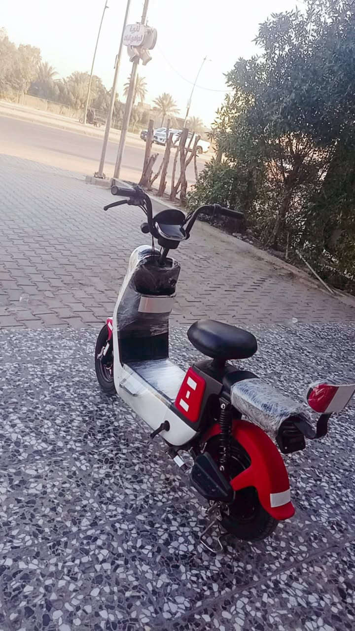دراجه شحن حجم 16 موديل 2025
تحتوي على شاشه ملونه تعرض السرعه والشحن 
دبلات أمامي وخلفي
عدد البطاريات 4 
16 امبير 
استاند عدد 2
مقعدين أمامي خلفي
لايت عالي ناصي
مقعد عالي وسكان عالي
شاحنه جديده 
متواجد خاص 
الاستفسار ***********
السعر خاص
