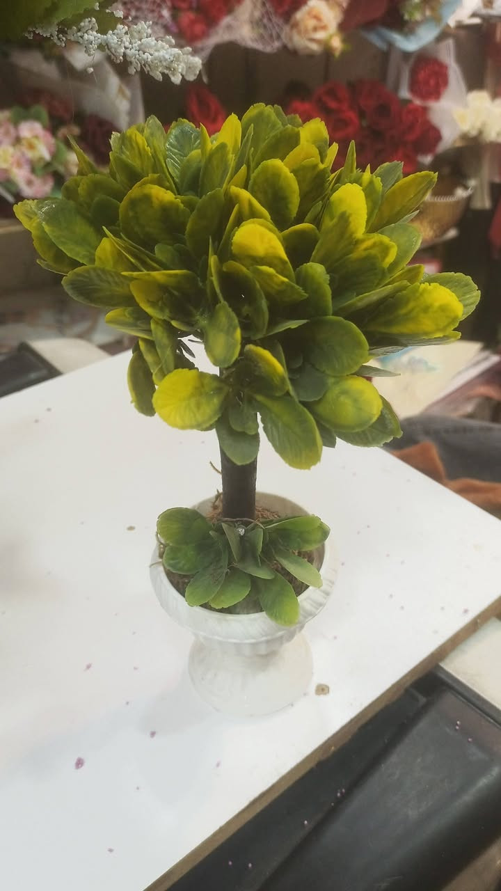 سوق المسقف قرب مجمع آل ياسين 
الفرع الثاني مقابل جاسم ابو مصطفى للعبي النسائيه 
للاستفسار الاتصال بالرقم ***********
بإدارة حسن حبيب ميزي 
توجد خدمة التوصيل مجانا
