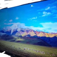 شاشه شينون • 65انش