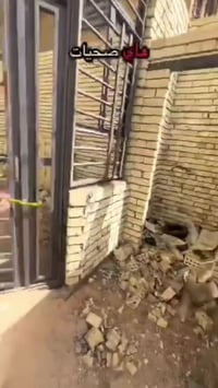 هيكل للبيع • ١٠٠م • غير مسقف