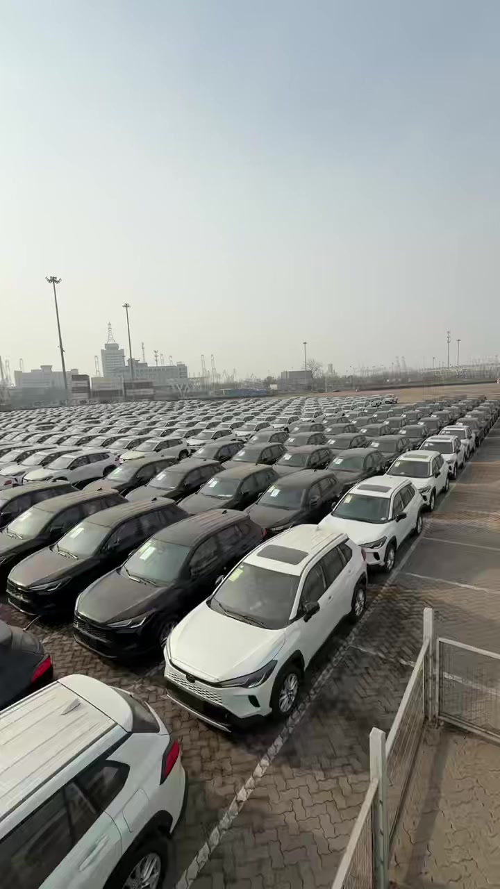 BB AUTO 2026 model toyota cars ship from china, pls contact us for wholesale price.


**إذا كنت صاحب هذا الإعلان وتريد حذفه لأي سبب، رجاءا أرسل رسالة إلى الدعم الفني**