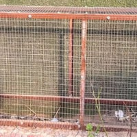 ديوانية • طول ٢م • القادسية