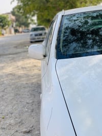 شاهینەی موس • ١٨٠ • كەلار