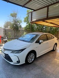كورلا هايبرد • ٢٠٢٥ • رقم اربيل