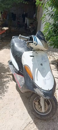 فراشة • للبيع