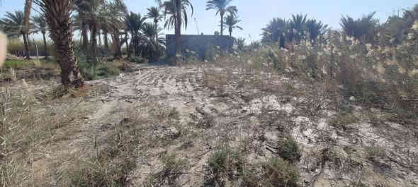 السلام عليك 
يوجد لدينا دونم بيه بيت بسيط مكون من صاله وغرفة نوم ومطبخ وحمام الدونم صايره مباشر على التبليط وجميع الخدمات موجوده ماء اساله وماء نهر وكهرباء ومدارس وأسواق وقريبه على نهر دجلة العنوان واسط قضاء الزبيديه منطقة أم سنيم 
طابو زراعي سند ٢٥ 
السعر جداً مناسب ٢٠ مليون وبيه مجال قليل لان مستعجل على البيعه مالته ***********
