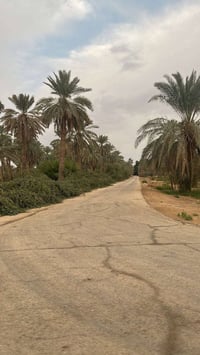 🌟 #دوانم_راقية_الك_ولعائلتك #5نجوم🌟 🔍 تبحث عن الهدوء والابتعاد عن زحمة...