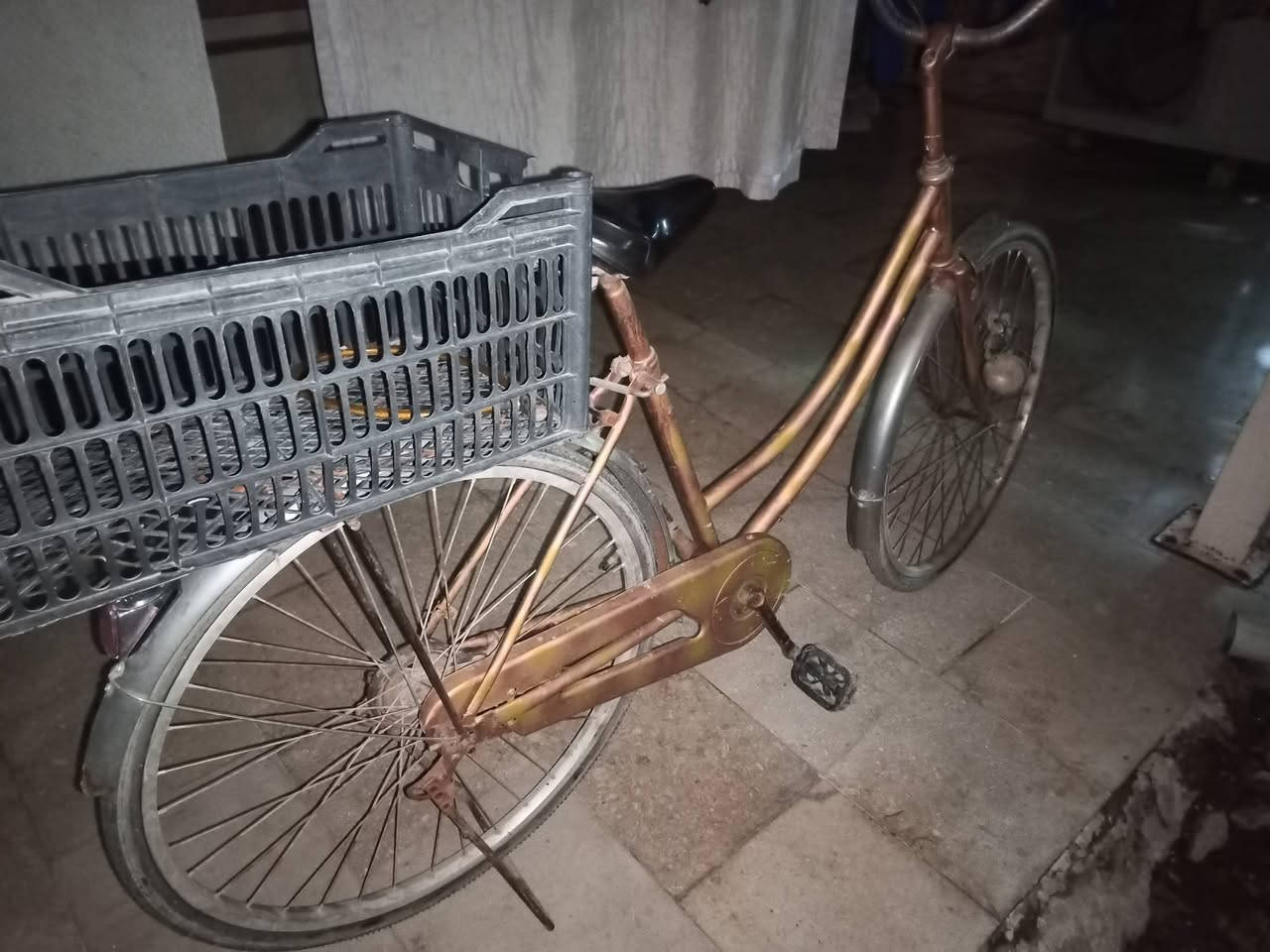 بناتي 26 زعفرانية سعرة من الاخير 35 الف
*********** واتساب
