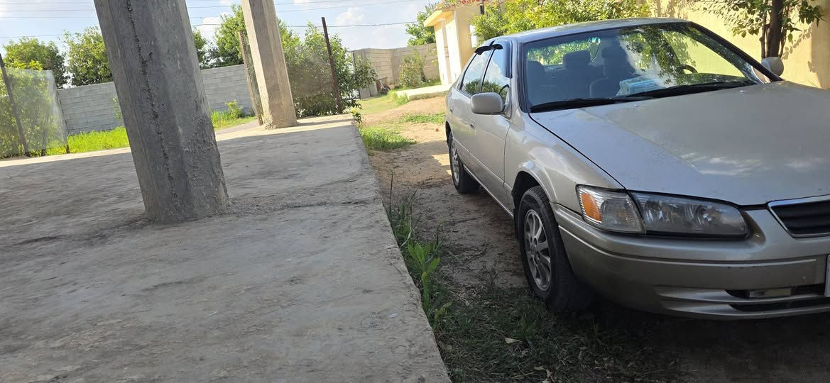 كامري موديل ٢٠٠٠ وارد أمريكا رقم بغداد بسمي لون أصفر ذهبي أربع سلندر كير محرك تبريد كفاله تخم تاير باتري جديد كهربائيات كله شغاله مصبوغه حزام سياره حلوه وناعمه مالت جناي 
والعنده سياره دبل قماره اوتوماتيك مراوس عادي يرهم


**إذا كنت صاحب هذا الإعلان وتريد حذفه لأي سبب، رجاءا أرسل رسالة إلى الدعم الفني**