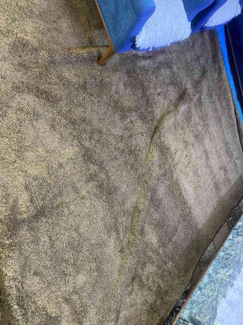 كاربت قياس 3*4 ونص سعره 35
براد 35  كاربت ابو الفرو 3*4 سعره 35  مكان سبع ابكار


**إذا كنت صاحب هذا الإعلان وتريد حذفه لأي سبب، رجاءا أرسل رسالة إلى الدعم الفني**