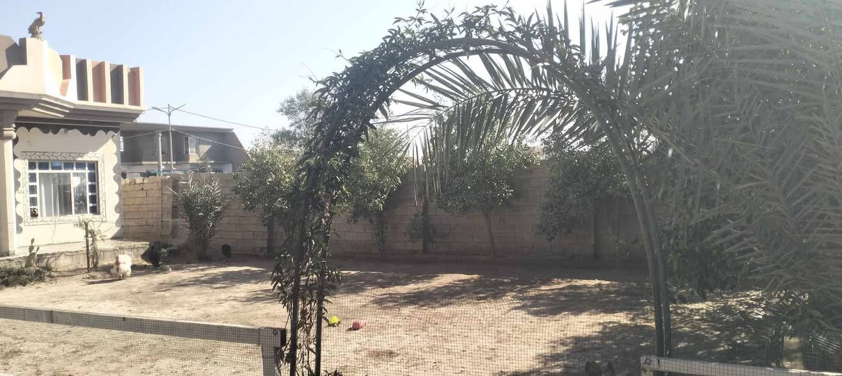 بيت للبيع في منطقة العقود المساحة 600م يتكون من استقبال + غرف عدد 2+مطبخ + صاله + صحيات خارجية +مخزن خارجية وكراج  
رقم الهاتف ***********
