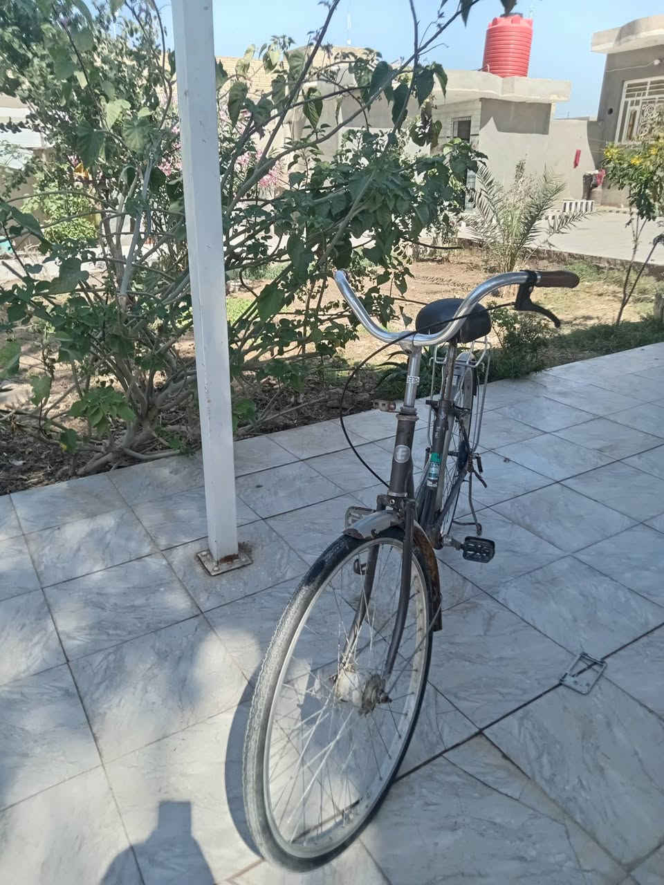 باسكل للبيع حجم 26 كلش ما عوزه سعر خاص شراي. بي خير ويدلل


**إذا كنت صاحب هذا الإعلان وتريد حذفه لأي سبب، رجاءا أرسل رسالة إلى الدعم الفني**