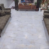 تخم تركي • ١٠ مقاعد • السيدية