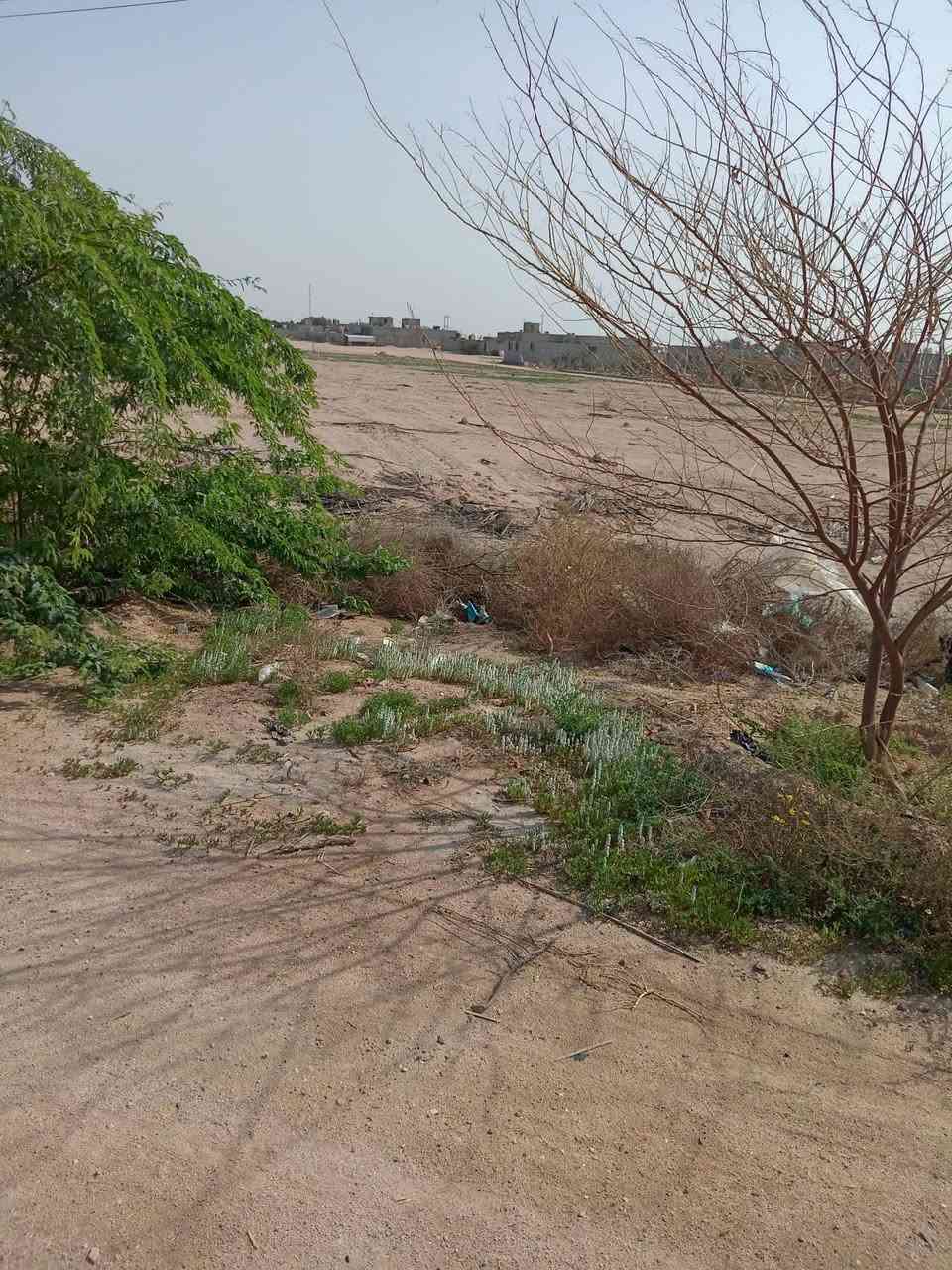 سلام عليكم ٣ دوانم البيع عل شارع جبل سعر ٦٠ مليون ***********
