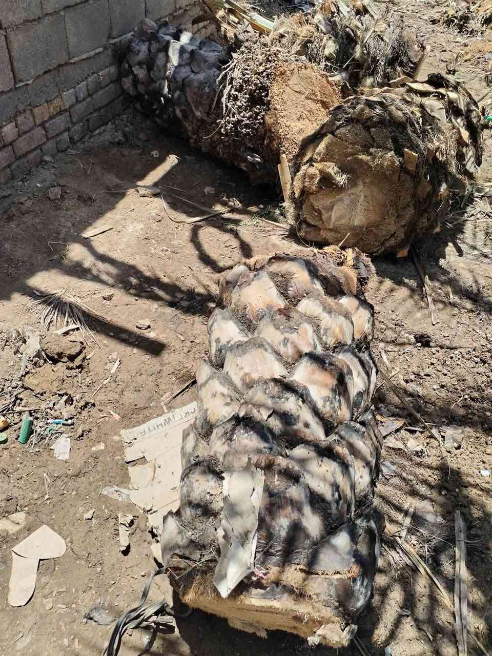 السلام عليكم خوان منو محتاج ذني الجذوع للمواكب الي يريدهن خل يراسلني خاص


**إذا كنت صاحب هذا الإعلان وتريد حذفه لأي سبب، رجاءا أرسل رسالة إلى الدعم الفني**