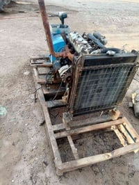 مولد ياباني • ٤ بساتم • ديالى