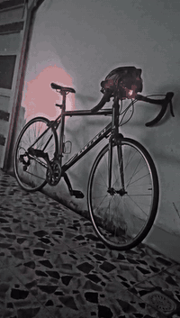 ‎🇬🇧دراجة / بريتاني

ماركة /  carrera 

Road bike

‎المنيوم 

Size / Large

‎قياس / ٢٨

كير ٧*٢  shimano

مكينة خلفي + امامي shimano tourney

كير متصل وية بريك

تايرات c700 
 
داخل بايدر بولبرينك 

سعر / خاص 
او نتصال  ***********
