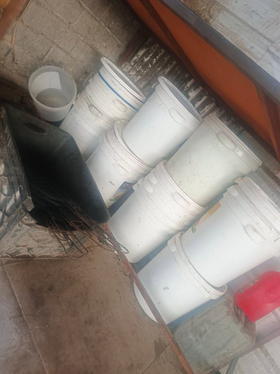 صطوله البيع واحد ٢٠٠٠ 
***********
