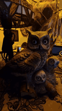 انتيكات سنتر سندلوس للتواصل واتساب الرقم ٠٧٧٨٠٩٩٩٦٦٨