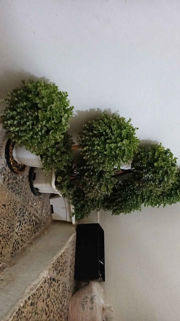 زرع صناعي بحاله جيده بغداد, العراق


**إذا كنت صاحب هذا الإعلان وتريد حذفه لأي سبب، رجاءا أرسل رسالة إلى الدعم الفني**